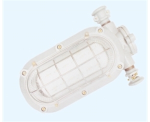 浙江矿用隔爆型LED支架灯